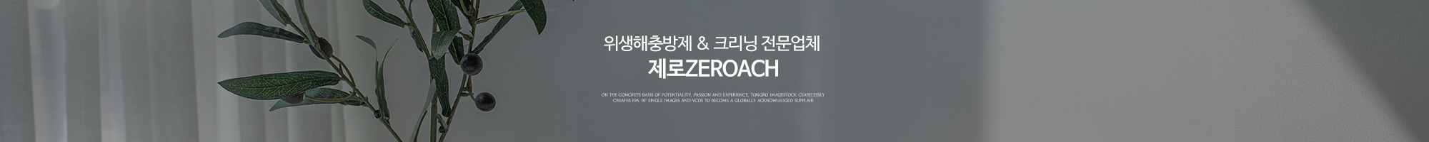 _상단